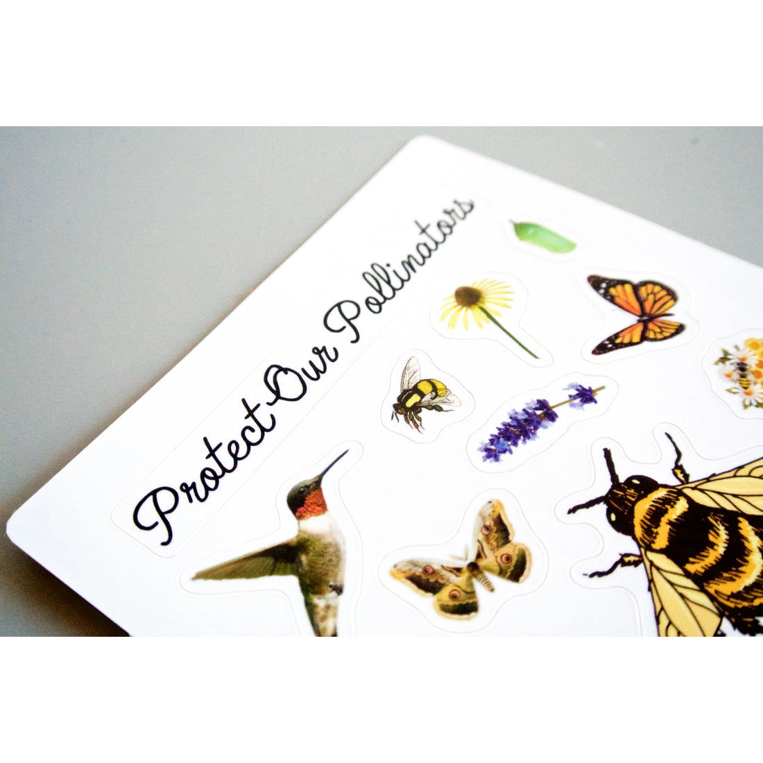 Pollinator Pride Patch & Sticker Kit