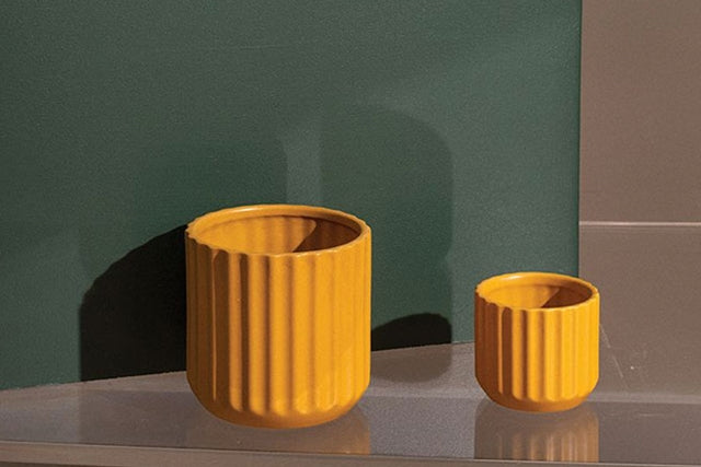 Beam Pot