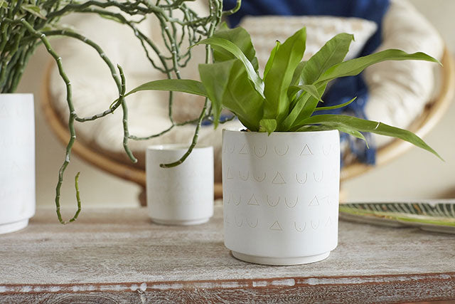 Triangles and Tatas pot - 3.25”