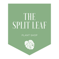 The Split Leaf Shop