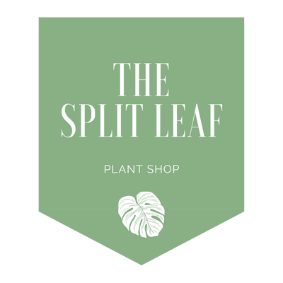 The Split Leaf Shop