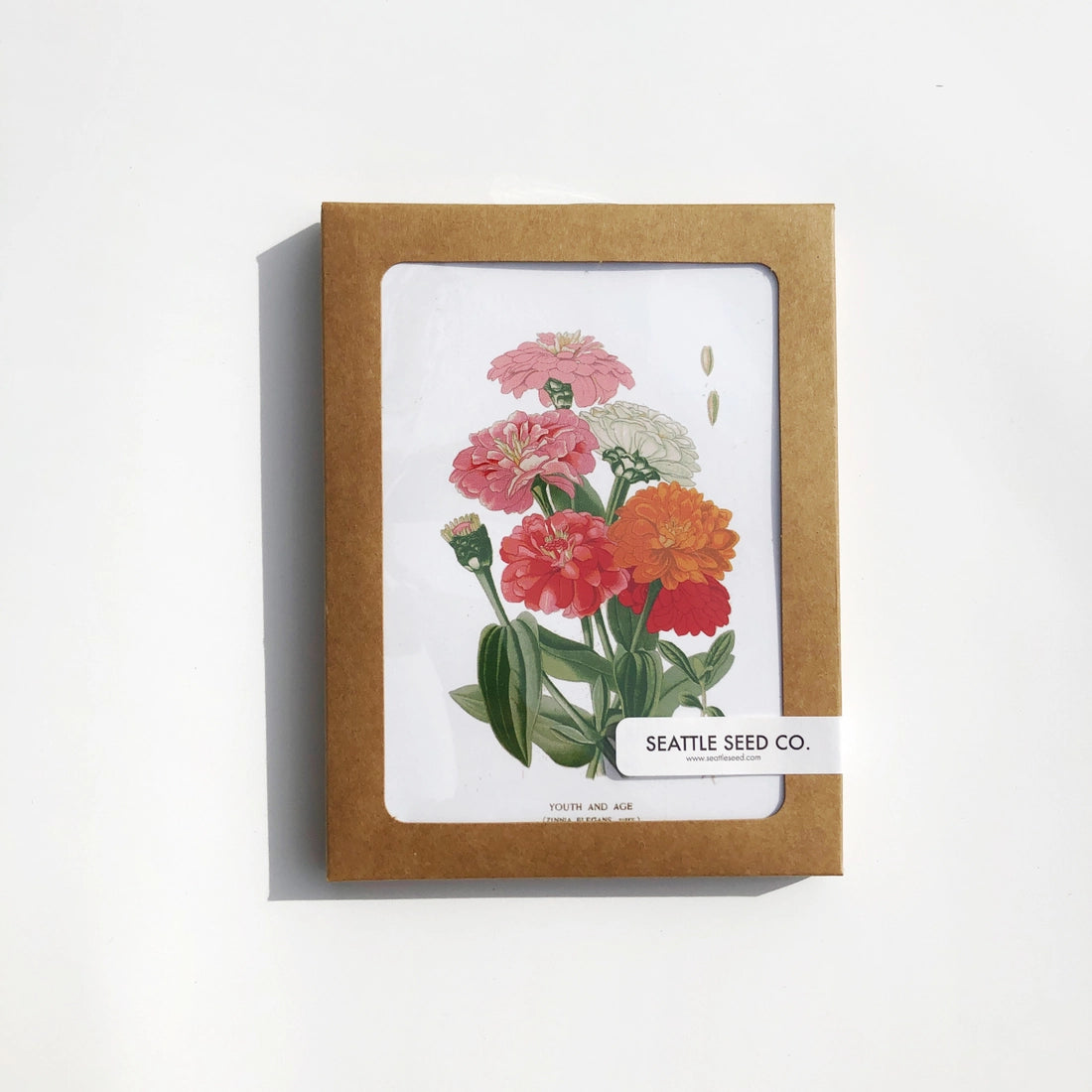 Botanical Greeting Cards - Set of 4