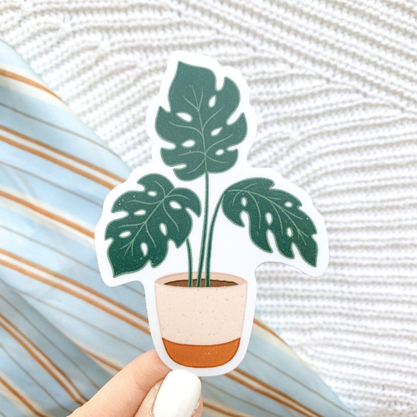 Potted Monstera Plant Sticker 3.5" x 2"